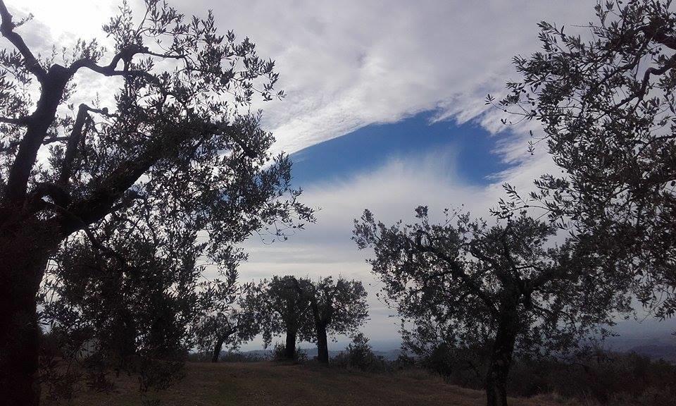 Tramonti E Valli Calvi dellʼ Umbria Extérieur photo